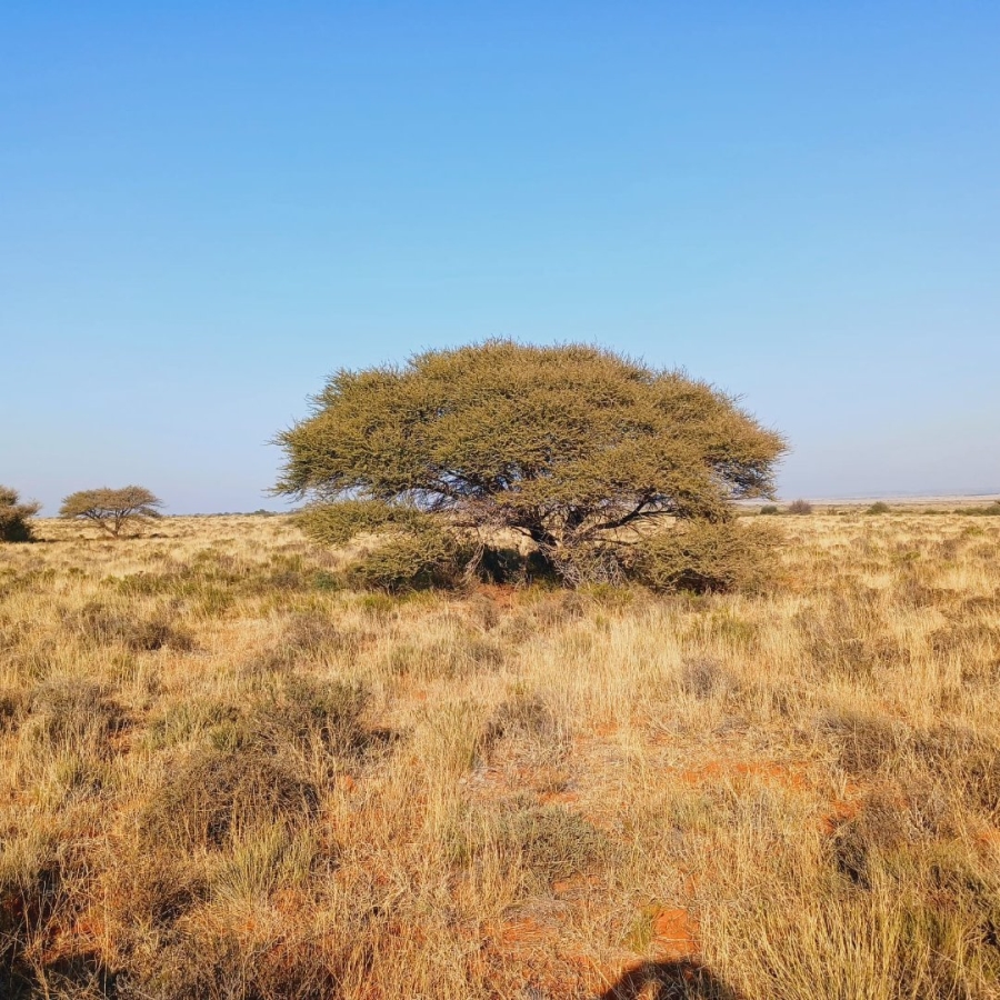  Bedroom Property for Sale in Jacobsdal Rural Free State